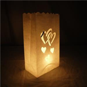 6 Pack Double Heart Paper Luminary Bags LED NEW